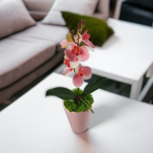 Rózsaszín, fehér mini orchidea pasztellszínű agyagkaspóban ORM115RSFH, Otthon & Életmód, Dekoráció, Virágdísz és tartó, Csokor & Virágdísz, Virágkötés, MESKA