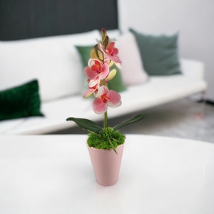 Rózsaszín, fehér mini orchidea pasztellszínű agyagkaspóban ORM115RSFH - otthon & életmód - dekoráció - virágdísz és tartó - csokor & virágdísz - Meska.hu