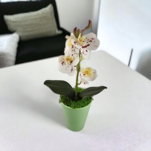 Fehér bordó pöttyös mini orchidea pasztellszínű agyagkaspóban ORM117FHBO - otthon & életmód - dekoráció - virágdísz és tartó - csokor & virágdísz - Meska.hu