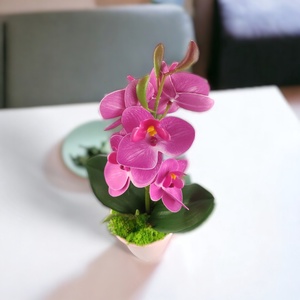 Ciklámen mini orchidea pasztellszínű agyagkaspóban ORM113CI - otthon & életmód - dekoráció - virágdísz és tartó - csokor & virágdísz - Meska.hu