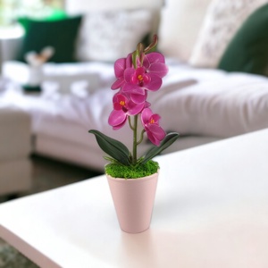 Ciklámen mini orchidea pasztellszínű agyagkaspóban ORM113CI - otthon & életmód - dekoráció - virágdísz és tartó - csokor & virágdísz - Meska.hu