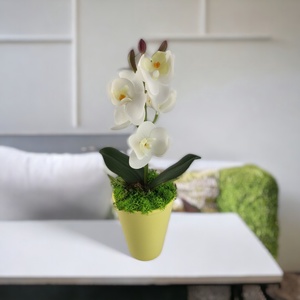 Fehér mini orchidea pasztellszínű agyagkaspóban ORM114FH, Otthon & Életmód, Dekoráció, Virágdísz és tartó, Csokor & Virágdísz, Virágkötés, MESKA