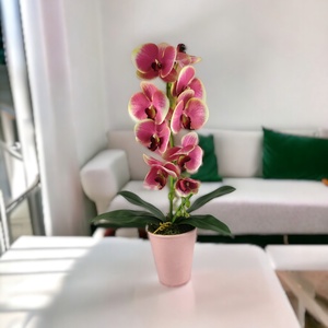Nagy méretű élethű pink krémszínű orchidea OR116PKKR, Otthon & Életmód, Dekoráció, Virágdísz és tartó, Csokor & Virágdísz, Virágkötés, MESKA