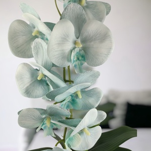 Nagy méretű élethű halvány kék orchidea OR117KE - otthon & életmód - dekoráció - virágdísz és tartó - csokor & virágdísz - Meska.hu