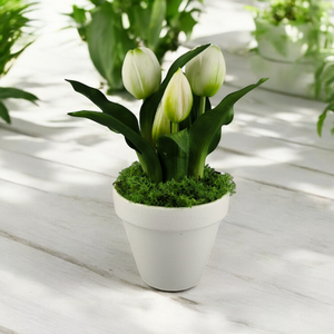 Élethű fehér tulipánok kaspóban TUE527FH, Otthon & Életmód, Dekoráció, Virágdísz és tartó, Csokor & Virágdísz, Virágkötés, MESKA