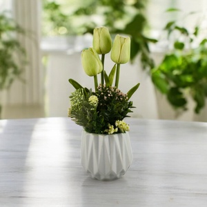 Zöldes krém tulipánok kaspóban TUG319KRZO, Otthon & Életmód, Dekoráció, Virágdísz és tartó, Csokor & Virágdísz, Virágkötés, MESKA