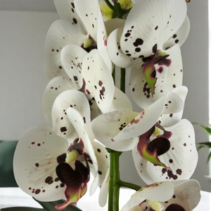 Fehér burgundi pöttyös nagyméretű egyszálas élethű orchidea OR122FHBO - otthon & életmód - dekoráció - virágdísz és tartó - csokor & virágdísz - Meska.hu