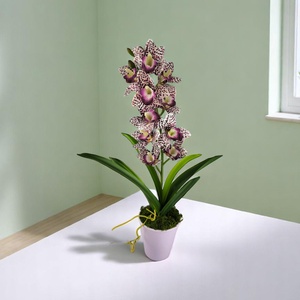 Nagy méretű lila pöttyös mintázatú csónakorchidea ORC111LI - otthon & életmód - virágdekoráció - virágdíszek - virágdísz kaspóban - Meska.hu