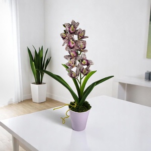 Nagy méretű lila pöttyös mintázatú csónakorchidea ORC111LI - Meska.hu