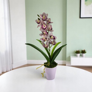 Nagy méretű lila pöttyös mintázatú csónakorchidea ORC111LI - otthon & életmód - virágdekoráció - virágdíszek - virágdísz kaspóban - Meska.hu