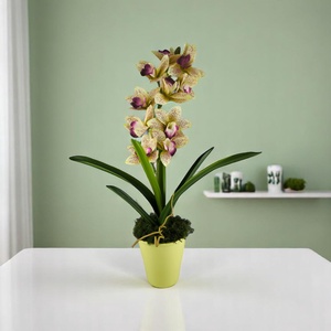 Sárga lila nagyméretű egyszálas csónakorchidea ORC110SA - otthon & életmód - virágdekoráció - virágdíszek - virágdísz kaspóban - Meska.hu