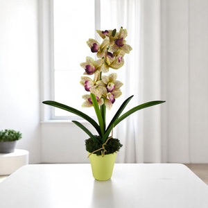 Sárga lila nagyméretű egyszálas csónakorchidea ORC110SA - Meska.hu