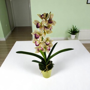Sárga lila nagyméretű egyszálas csónakorchidea ORC110SA - otthon & életmód - virágdekoráció - virágdíszek - virágdísz kaspóban - Meska.hu