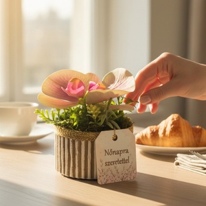 Prémium Mini Orchidea Aranyszegélyes Díszhengerben - Meska.hu