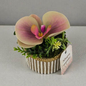 Prémium Mini Orchidea Aranyszegélyes Díszhengerben - otthon & életmód - virágdekoráció - virágdíszek - virágdísz kaspóban - Meska.hu