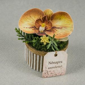 Prémium Mini Orchidea Aranyszegélyes Díszhengerben - otthon & életmód - virágdekoráció - virágdíszek - virágdísz kaspóban - Meska.hu