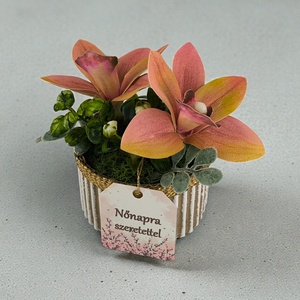Csónakorchidea Elegancia � Nőnapi Mini Kompozíció - otthon & életmód - virágdekoráció - virágok - virágbox - Meska.hu