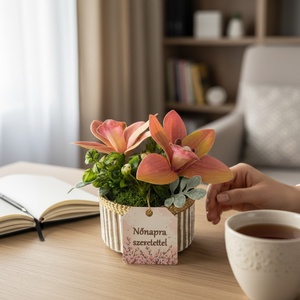 Csónakorchidea Elegancia � Nőnapi Mini Kompozíció - Meska.hu