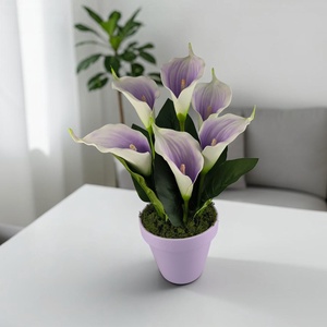 Lila fehér kálák kaspóban KAL631LI - Meska.hu