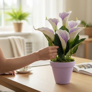 Lila fehér kálák kaspóban KAL631LI - otthon & életmód - virágdekoráció - virágdíszek - asztali virágdísz - Meska.hu