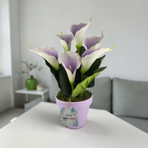 Lila fehér kálák kaspóban KAL631LI - otthon & életmód - virágdekoráció - virágdíszek - asztali virágdísz - Meska.hu