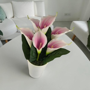 Mályva fehér kálák kaspóban KAL632MA - Meska.hu