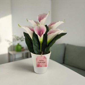 Mályva fehér kálák kaspóban KAL632MA - otthon & életmód - virágdekoráció - virágdíszek - virágdísz kaspóban - Meska.hu