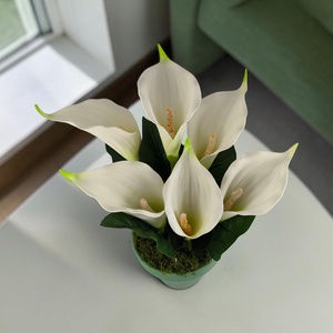 Fehér zöld cirmos kála kaspóban KAL633ZO - otthon & életmód - virágdekoráció - virágdíszek - virágdísz kaspóban - Meska.hu