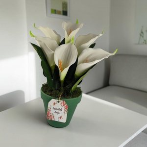 Fehér zöld cirmos kála kaspóban KAL633ZO - otthon & életmód - virágdekoráció - virágdíszek - virágdísz kaspóban - Meska.hu