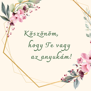 Újult erő gránát és eperkvarc kapcsos ásvány karkötő, aroma ékszer, Anyának - ékszer - nyaklánc - gyöngyös nyaklánc - Meska.hu