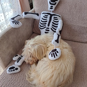 Óriás csontváz párna  - otthon & életmód - dekoráció - halloween - halloweeni figurák - Meska.hu