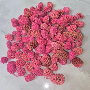 KisÖprŐ akciÓ! casuarina - pink 5 dkg, Kellékek & szerszámok, Dekorációs kellékek, Termések, terméscsomagok, , MESKA