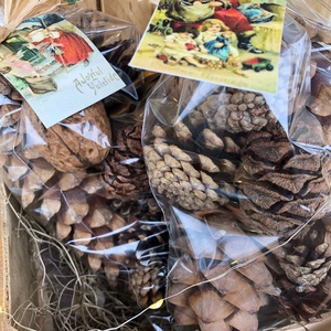 Fenyőtoboz válogatás különlegességekkel - kellékek & szerszámok - vegyes alapanyag - egyéb alapanyag - Meska.hu