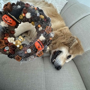 Halloween macis - otthon & életmód - dekoráció - ajtó- és ablak dekoráció - ajtódísz & kopogtató - Meska.hu