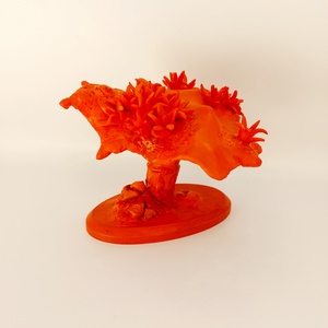 Szokotrai Sárkányvérfa - otthon & életmód - dekoráció - dísztárgy - Meska.hu