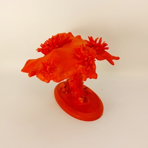 Szokotrai Sárkányvérfa - otthon & életmód - dekoráció - dísztárgy - Meska.hu