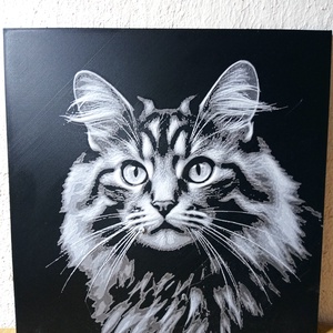 Maine Coon macska 3D nyomtatott kép - Meska.hu