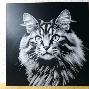 Maine Coon macska 3D nyomtatott kép - otthon & életmód - dekoráció - kép & falikép - 3d képek - Meska.hu