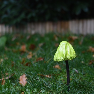 Cakkos aljú zöld gombavirág - otthon & életmód - ház & kert - kerti dísz - Meska.hu