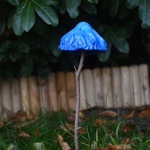 A kék ejtőernyő gombavirág - Meska.hu