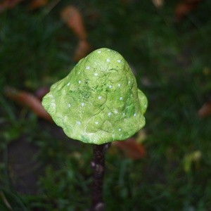 Zöld varázsló kalap gomba - otthon & életmód - ház & kert - kerti dísz - Meska.hu