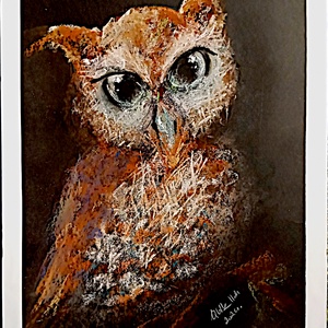 Bagoly - pasztell grafika 35x50cm - Meska.hu