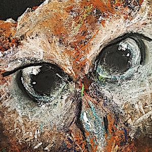 Bagoly - pasztell grafika 35x50cm - művészet - grafika & illusztráció - egyéb rajzok - Meska.hu