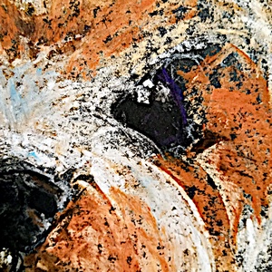 Yorki - pasztell grafika 35x50cm - művészet - grafika & illusztráció - egyéb rajzok - Meska.hu