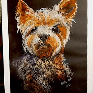 Yorki - pasztell grafika 35x50cm - művészet - grafika & illusztráció - egyéb rajzok - Meska.hu