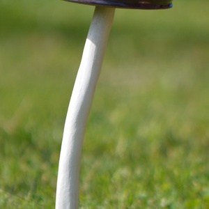 Kerti gomba, Otthon & Életmód, Ház & Kert, Kerti dísz, Festett tárgyak, Kerámia, MESKA