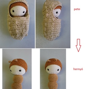 Egy éjjeli lepke élete: pete-hernyó-báb-lepke -  - Meska.hu