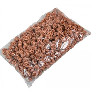 Casuarina 17 dkg - metál bronz, Kellékek & szerszámok, Dekorációs kellékek, Termések, terméscsomagok, , MESKA