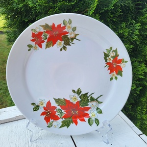 Zsolnay porcelán_mikulásvirágos lapos tányér, Otthon & Életmód, Konyhafelszerelés, tálalás, Tálalás, Tányér & Étkészlet, , MESKA
