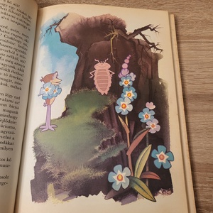 Bálint Ágnes: Micsoda pók a vízipók! - könyv & zene - könyv - Meska.hu